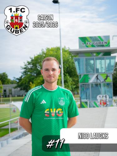 Nico Laugks