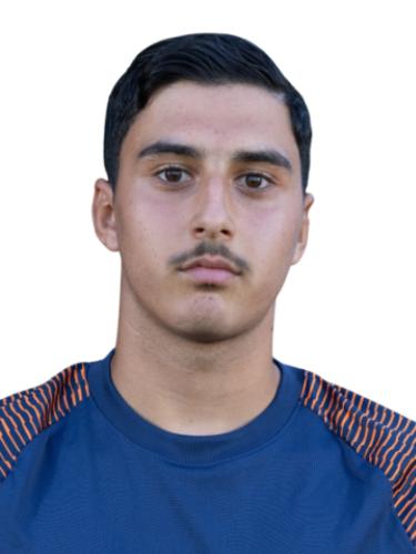 Tümer Özmen
