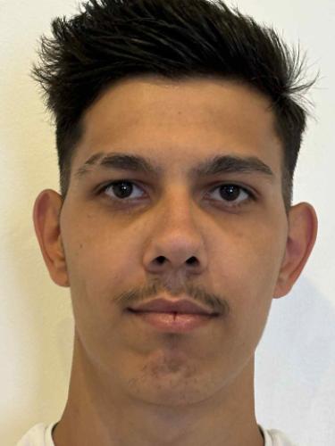 Alexandru-George Stoica