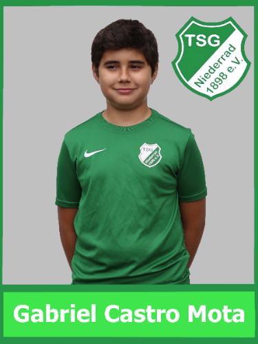 Gabriel Castro Mota