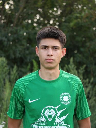 Arian Amini