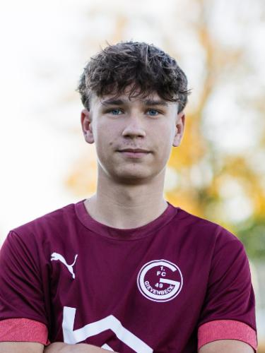 Dominik Skolik
