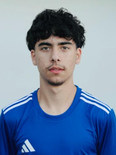 Joao Miguel De Sousa Ferreira