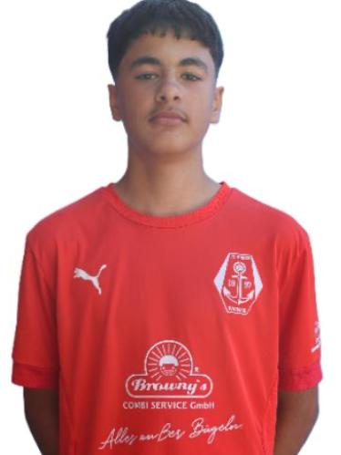 Hamed Saidi