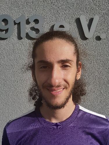 Mostafa Lotfy Shetawy Mohamed