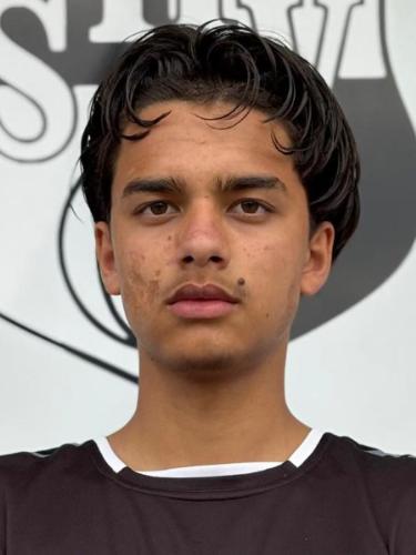Mohammad Elham Mohammadi