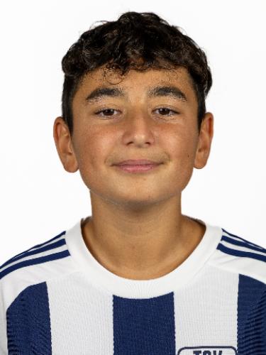 Arda Ilgi