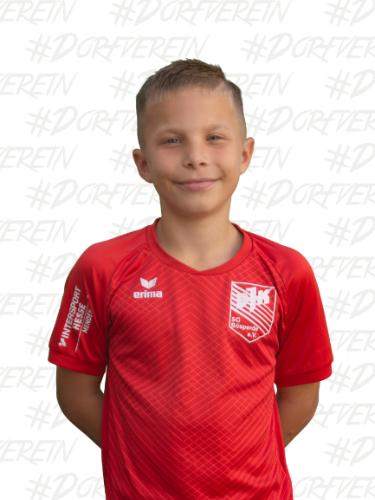 Tiago Cardoso Lontro Silva