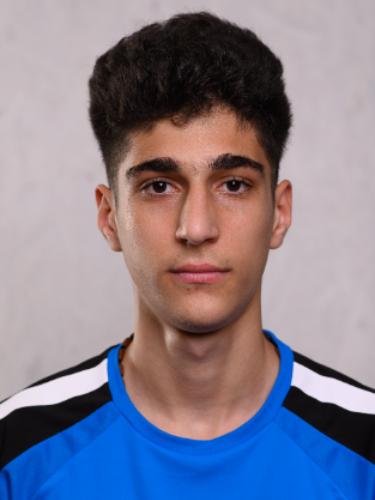 Ilia Bakarishvili