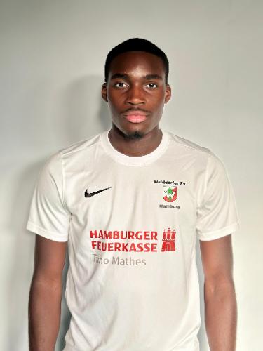 Uchechukwu Joshua Dimgba John