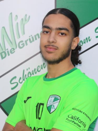 Mahmoud Azaoum