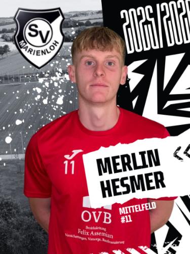 Merlin Hesmer