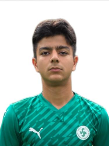 Mohammad Arash Zafari