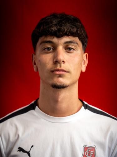 Davide Lupan