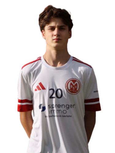 Emil Leander Schlienkamp