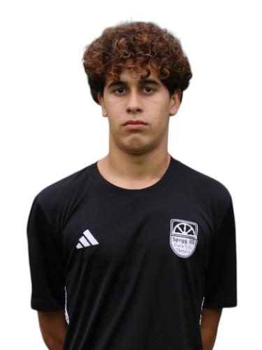 Joao Agostino Dos Santos