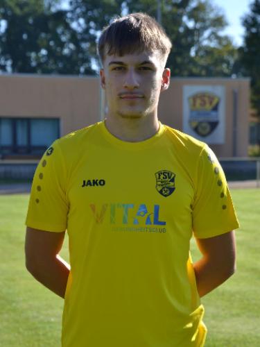 Timo Thomas Henz