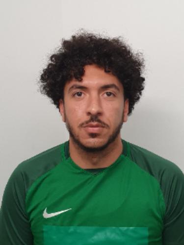 Ahmed Ibrahim Abdelaziz Hegazi