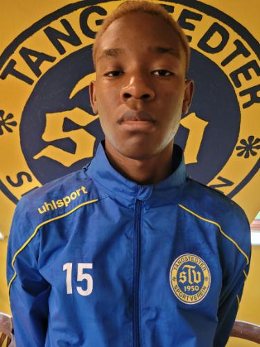 Collins Chigozie Iberi