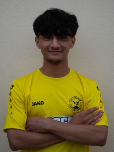 Mohammad Ajwad Safdari