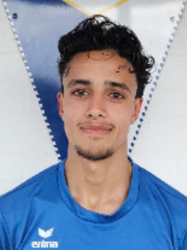 Mohamed Mehdi Al Shouli