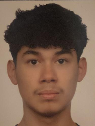 Walter Alessio Villanueva Salinas