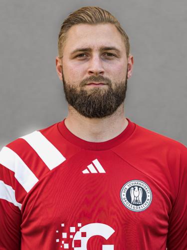 David Bergmann