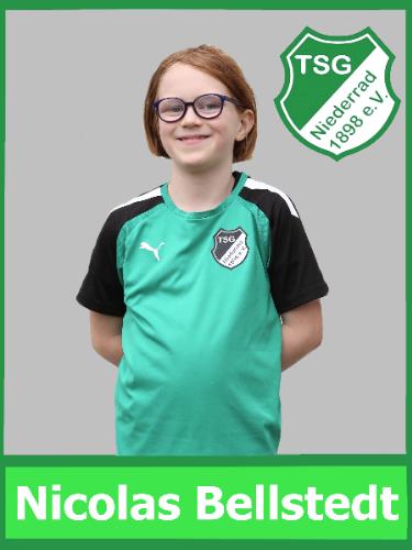 Nicolas Bellstedt