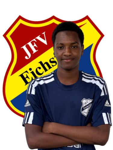 Mamadou Yaya Diallo