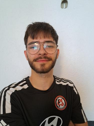 Benjamin Adrian Hollmann