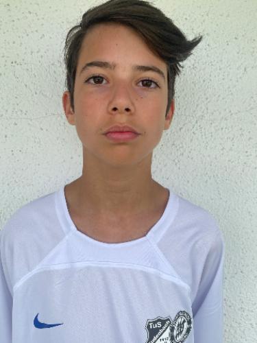 Fabian David Querner