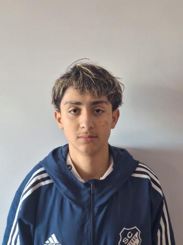 Sahel Ahmadi
