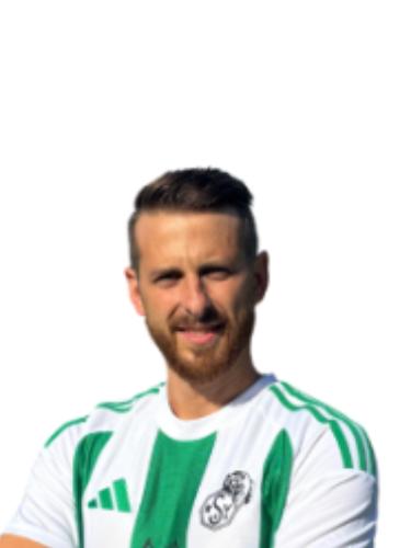 Aleksander Gerling