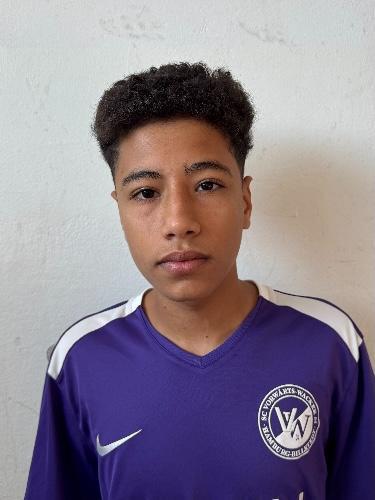 Mohamed Megahed Hamza Ahmed Raslan