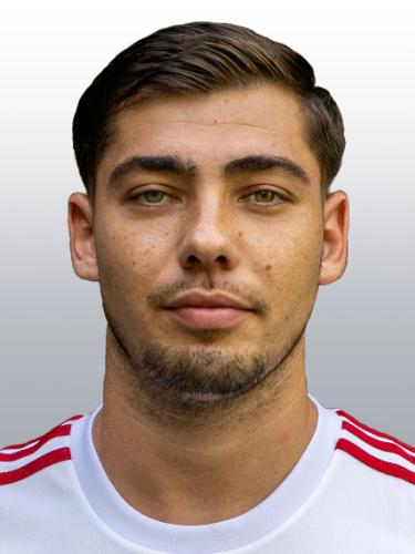 Fernando-Daniel Ciocan