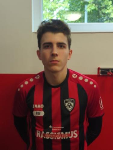 Leo Carlos Lippmann