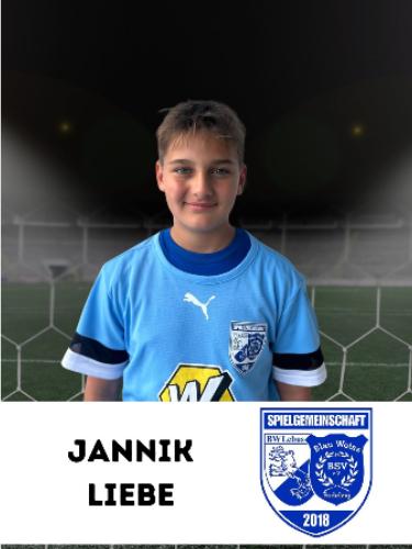 Jannik Liebe