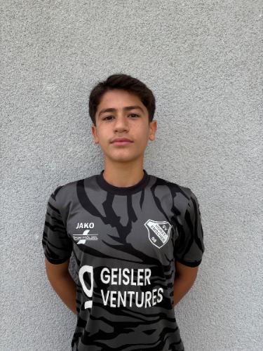 Mohamad Ghannoum