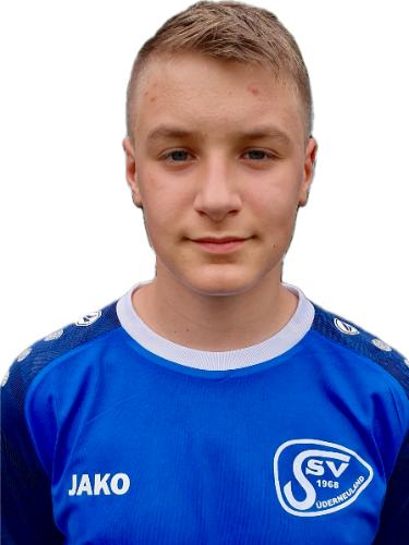 Dominik Karl Diekmann