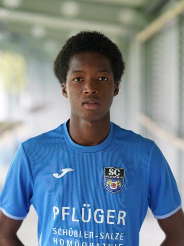 Alhousseynou Diallo