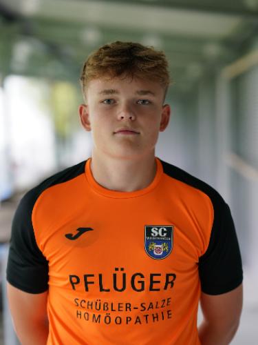 Carl-Friedrich Frisch