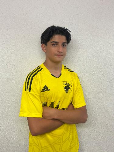 Aleks Hakobyan