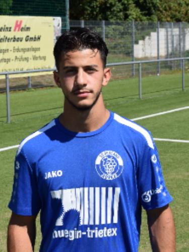 Hadi Hamid