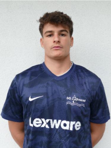 Louis Manuele Ingold