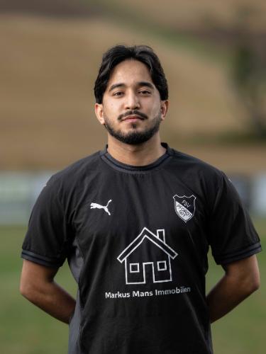 Ali Reza Ansari