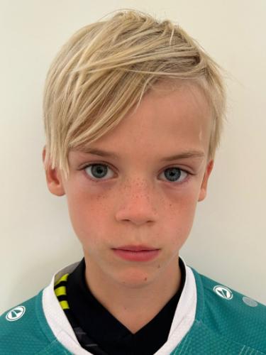 Leo Elia Engelbrecht