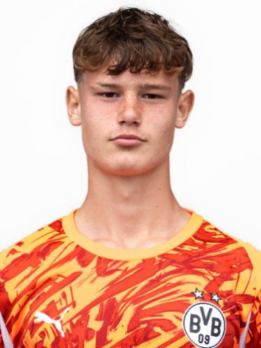 Bennet Henry Birtner