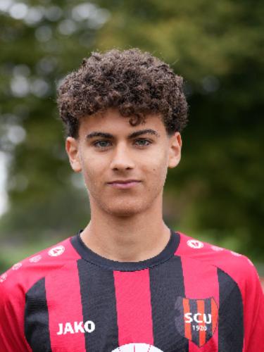 Luis Bruto da Costa Koch