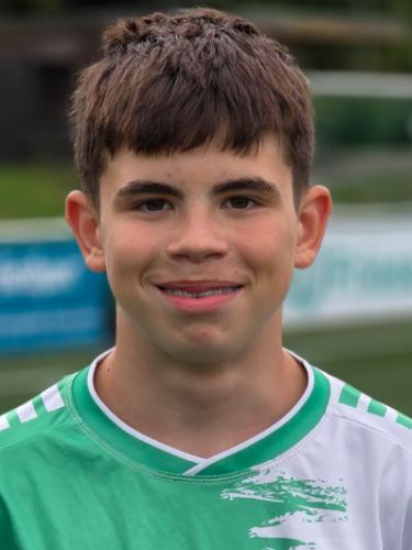 Nemanja Beric