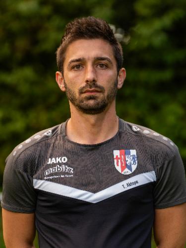 Senad Delic